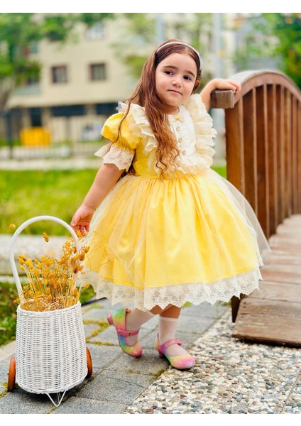 Sarı Ayıcıklı Kız Bebek Elbisesi,doğum Günü Elbisesi, Fotoğraf Çekim Elbisesi,0-10 Yaşa Uygun
