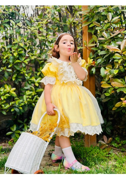 Sarı Ayıcıklı Kız Bebek Elbisesi,doğum Günü Elbisesi, Fotoğraf Çekim Elbisesi,0-10 Yaşa Uygun