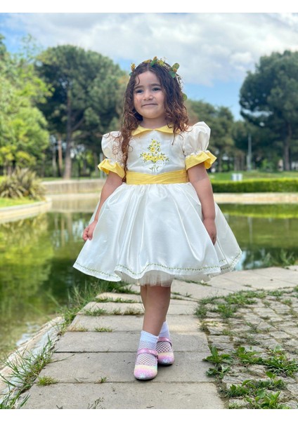Sarı Papatya Vintage Kız Bebek Elbise,Doğum günü elbise,fotoğraf çekim elbise,0-12 Yaş Uygun