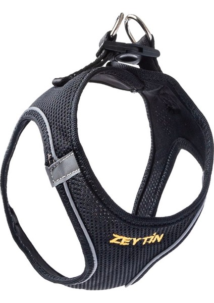 Isimli Airmesh 4'lü Tasma Seti Köpek Göğüs Tasması + Boyun Tasması + Gezdirme Kayışı + Çanta