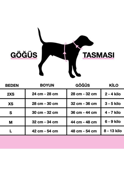 Isimli Airmesh 4'lü Tasma Seti Köpek Göğüs Tasması + Boyun Tasması + Gezdirme Kayışı + Çanta