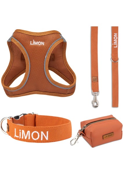 Isimli Airmesh 4'lü Tasma Seti Köpek Göğüs Tasması + Boyun Tasması + Gezdirme Kayışı + Çanta