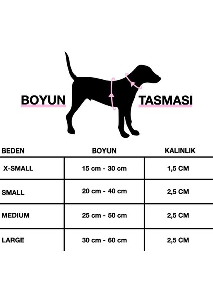 Isimli Airmesh 4'lü Tasma Seti Köpek Göğüs Tasması + Boyun Tasması + Gezdirme Kayışı + Çanta