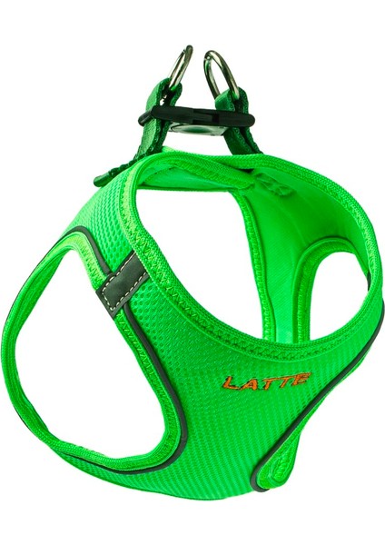 Isimli Airmesh 4'lü Tasma Seti Köpek Göğüs Tasması + Boyun Tasması + Gezdirme Kayışı + Çanta