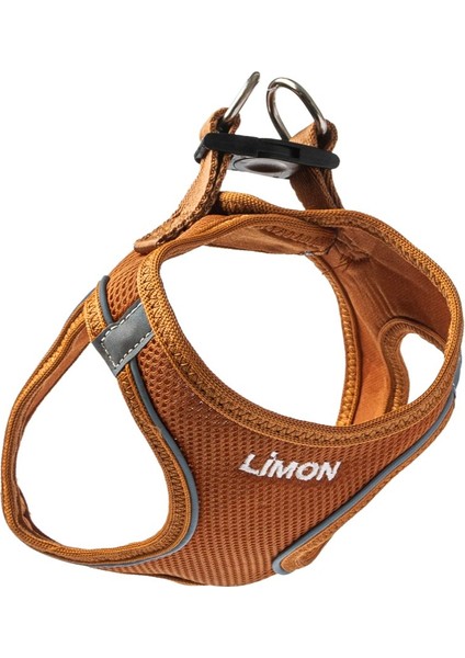 Isimli Airmesh 4'lü Tasma Seti Köpek Göğüs Tasması + Boyun Tasması + Gezdirme Kayışı + Çanta