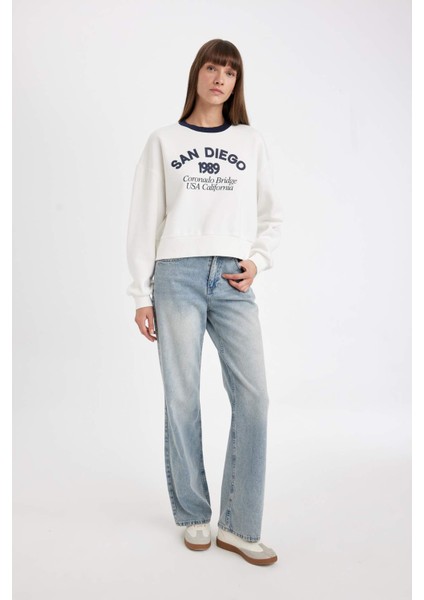 Boxy Fit Bisiklet Yaka Baskılı Kalın Sweatshirt D8723AX24WN fiyatları