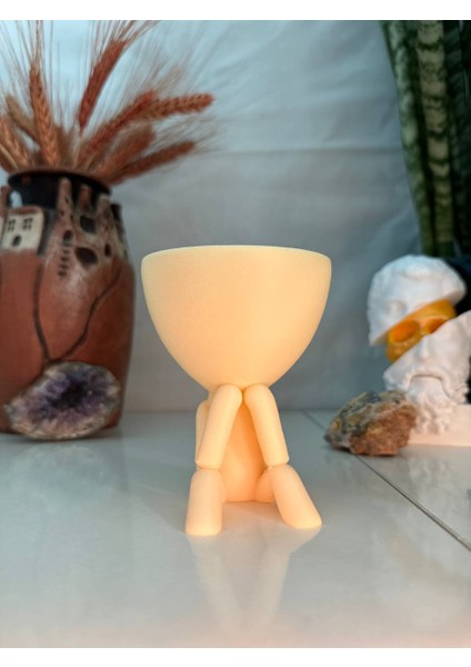 Zihin Kaşifi Saksı | 3D Baskı Saksı Modeli | Küçük Bitkiler Için Uygun | Fil Dişi ve Açık Yeşil Renk Seçenekleri