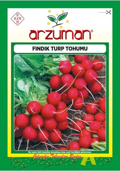 Fındık Turp Tohumu 2000 Tohum 25 Gram