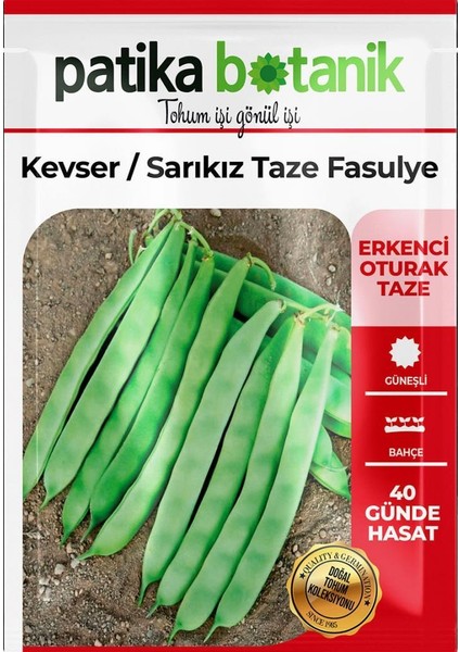 50 Adet Kevser (Sarı Kız) Fasulye Tohumu