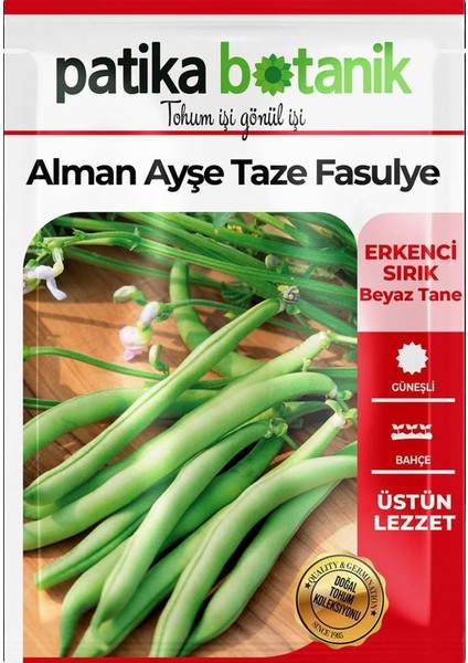 50 Adet Alman Ayşe Tipi Sırık Fasulye Tohumu