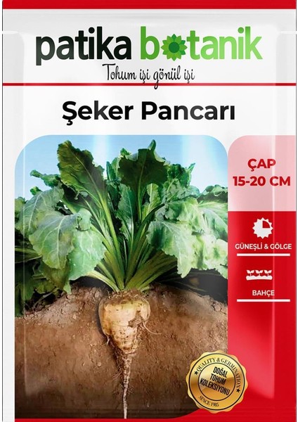 150 Adet Şeker Pancarı Tohumu