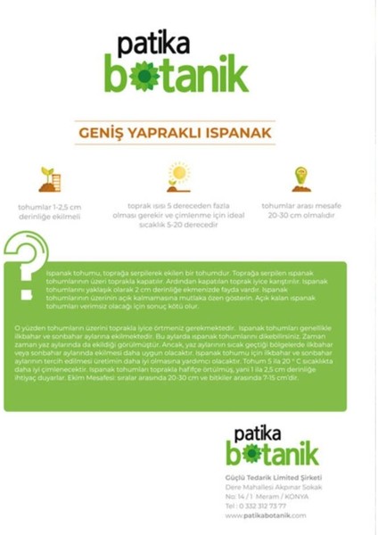 Patika Botanik 250 Adet Yerli Ispanak Tohumu (Geniş Yaprak)