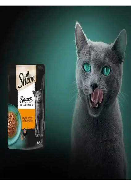 Naturescollectionhindili Yaş Mama 28X85 gr fiyatları