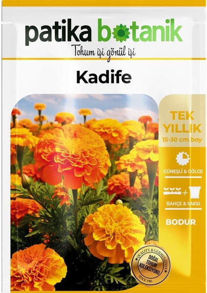 Patika Botanik 50 Adet Bodur Kadife Çiçek Tohumu (Tagetes L.)