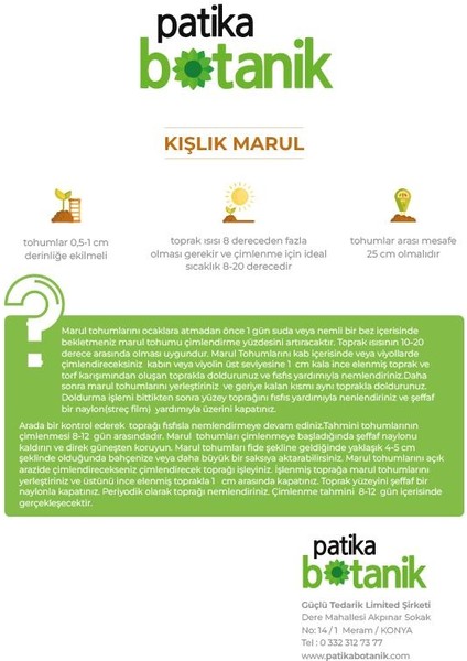 Patika Botanik 2000 Adet Kışlık Kıvırcık Marul Tohumu