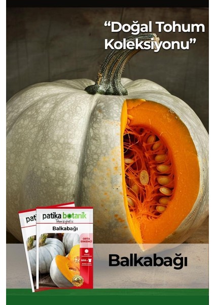 15 Adet Balkabağı Tohumu (Turuncu Etli)