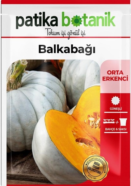 15 Adet Balkabağı Tohumu (Turuncu Etli)