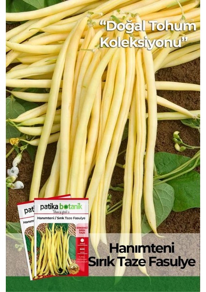40 Adet Yerli Ata Hanımteni (Turşuluk) Sırık Fasülye Tohumu