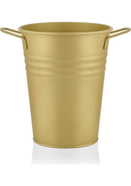 Altın Galveniz Çiçeklik 21CM