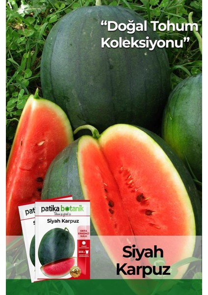 25 Adet Yerli Ata Siyah / Kara Karpuz Tohumu