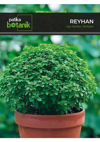 80 Adet Yerli Ata Top Fesleğen - Top Reyhan (Ocimum Basilicum) Tohumu