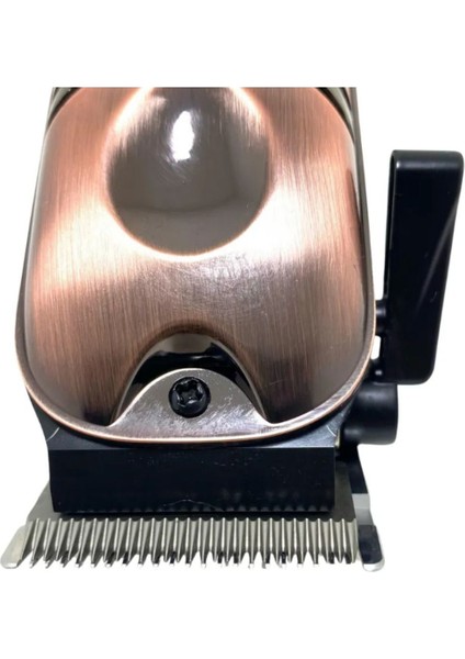 Yok TR-4900 Sakal Tıraş Makinası 4-6 Saat 2 Yıl 3 - 5 Kahverengi Yok Kuru Sakal Resmi Distribütör G