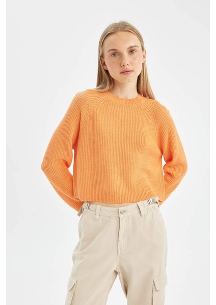 Coool Regular Fit Bisiklet Yaka Basic Düz Triko Kazak L2567AZ24WN