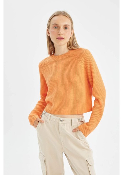 Coool Regular Fit Bisiklet Yaka Basic Düz Triko Kazak L2567AZ24WN