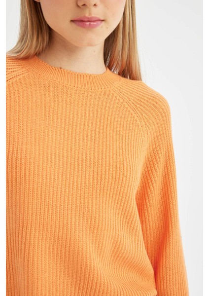 Coool Regular Fit Bisiklet Yaka Basic Düz Triko Kazak L2567AZ24WN