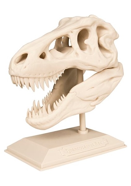 T-Rex Kafatası ve Standı Figürü - 20 cm