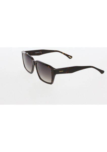 Güneş Gözlüğü (Kadın) 3545 02