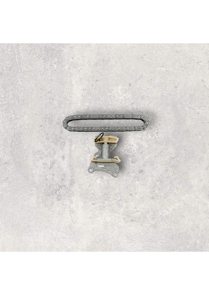 06D198229A Eksantrik Zincir Seti 2 Parça - Audı A4-Altea- Golf-Jetta-Octavıa-Passat-2.0-Fsı-Blr-Blx-Bwa