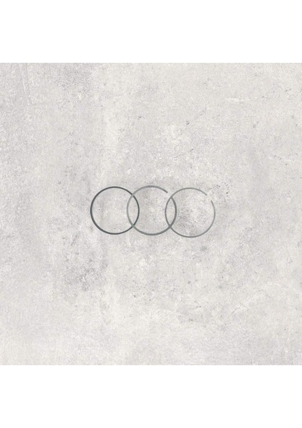 026198151B Motor Segman Std 81.00 Mm 1 Piston İçin - Golf-Vento-1.8 Lt.-1F-Adz-Aam