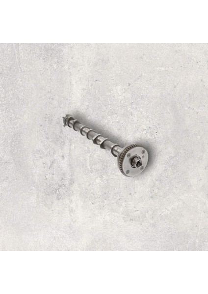 06L109021C Eksantrik Mili Emme - Porsche-Macan-A4-A5-A6-A7-Q3-Q5-Q7-Superb-1.8 Lt.-2.0-Tfsı-Cjsa-Cjeb-Cncd-Cyga-Cyna