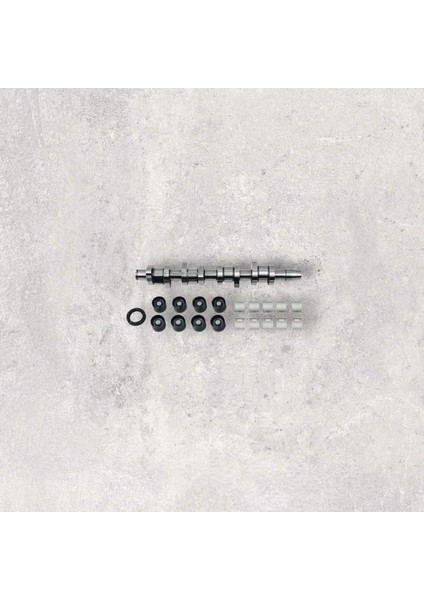 038109100A Eksantrik Mili Tamir Kiti - Transporter T5-Caddy-Passat-A4-Superb-1.9 Lt.-Tdı-Axb-Axc-Bjb-Avf