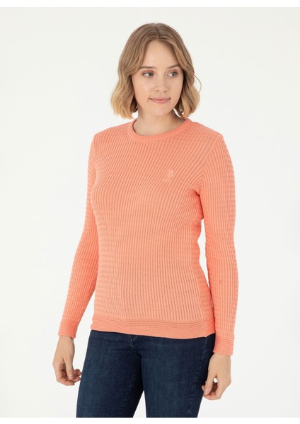 Bisiklet Yaka Slim Fit Somon Kazak Kadın KARLA-BSK24