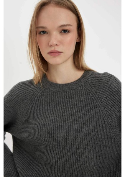 Coool Regular Fit Bisiklet Yaka Basic Düz Triko Kazak L2567AZ24WN modelleri