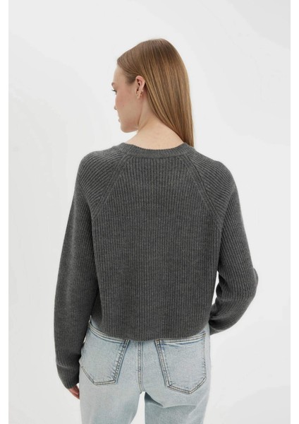 Coool Regular Fit Bisiklet Yaka Basic Düz Triko Kazak L2567AZ24WN fırsatları