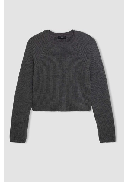 Coool Regular Fit Bisiklet Yaka Basic Düz Triko Kazak L2567AZ24WN indirimleri