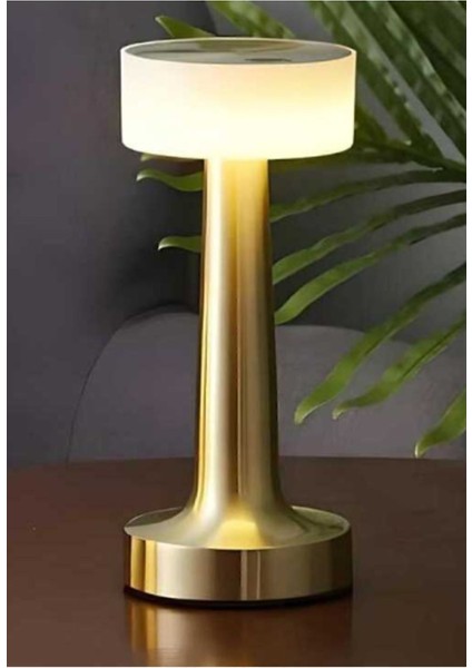 Şarjlı CT-8436 Denver Şarjlı Masa Lambası - Dokunmatik Masa Üstü Metalik 50 x 50 Metal GU10 Kablosu fiyatları