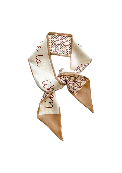 Yeni Ins Küçük Ipek Eşarp Kadın Çok Yönlü Uzun Örgülü Saç, At Kuyruğu Saç Bandı, Flama, Dar Eşarp, Bahar Stili (Yurt Dışından)