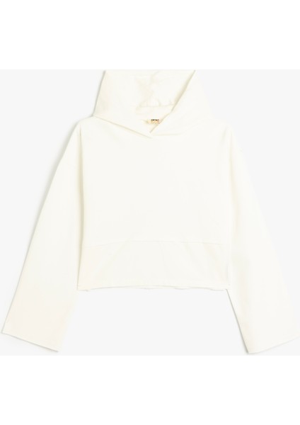 Basic Kapşonlu Sweatshirt Uzun Kollu Pamuklu Şardonlu