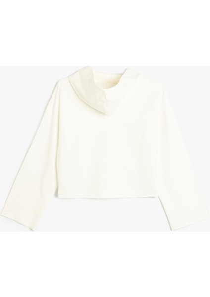 Basic Kapşonlu Sweatshirt Uzun Kollu Pamuklu Şardonlu fiyatları