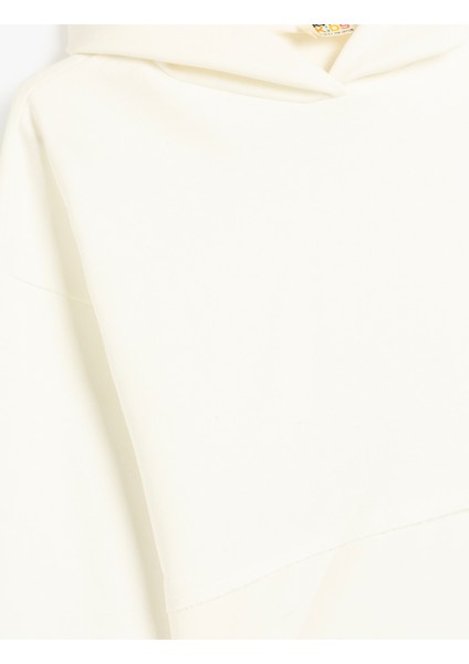 Basic Kapşonlu Sweatshirt Uzun Kollu Pamuklu Şardonlu modelleri