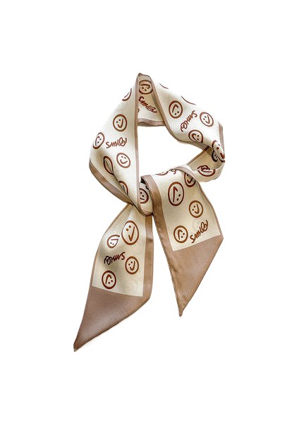 Yeni Ins Küçük Ipek Eşarp Kadın Çok Yönlü Uzun Örgülü Saç, At Kuyruğu Saç Bandı, Flama, Dar Eşarp, Bahar Stili (Yurt Dışından)