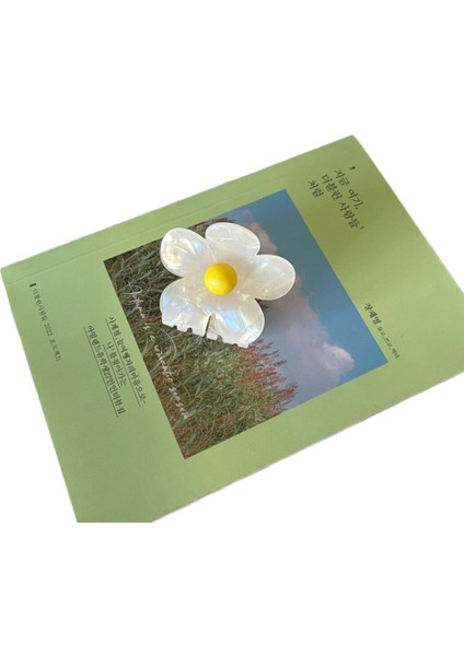 Lale Saç Tokaları Dişi Köpekbalığı Klipleri Niş High-End Kore High-End Saç Tokaları ve Saç Aksesuarları Sevimli Köpek Yavrusu Tırmalama Klipleri (Yurt Dışından)