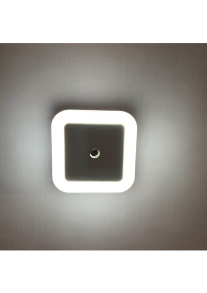 Beyaz CT-9500 LED Gece Lambası Fotoselli LED Otomatik Yanan 2 Adet fiyatları