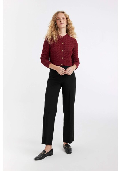 Regular Fit Bisiklet Yaka Saç Örgü Desenli Düğmeli Triko Hırka C9044AX24WN fiyatları