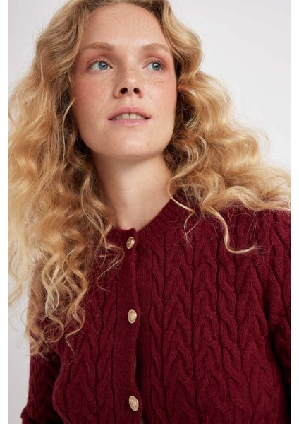 Regular Fit Bisiklet Yaka Saç Örgü Desenli Düğmeli Triko Hırka C9044AX24WN fırsatları