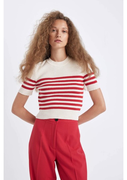 Slim Fit Dar Kesim Çizgili Bisiklet Yaka Kısa Kollu Triko Kazak D4619AX24AU